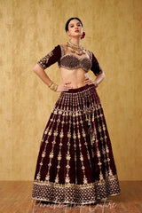 Burgundy Color Lehenga Set