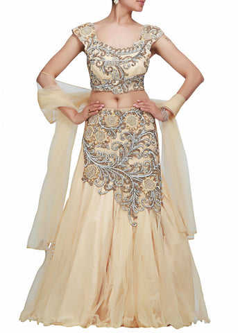 Beige color Beautiful lehenga choli