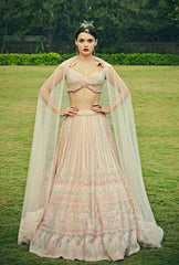 Blush Pink Colour Wedding Lehenga