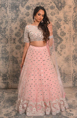 Blush pink mirror and Resham work lehenga