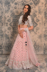 Blush pink mirror and Resham work lehenga