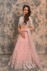 Blush pink mirror and Resham work lehenga