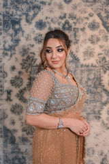 Go for a nonchalant style with this Fawn Brown net saree