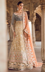 Fawn Colour Wedding Walima Dress