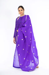 Opulent Pigment Violet Ikkat Raw Silk Handloom Salwar Kameez