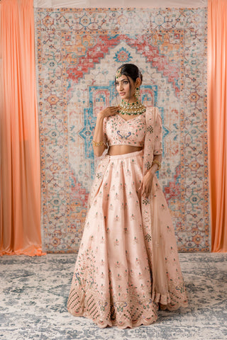 Pastel Pink Color Thread and Mirror Work Lehenga