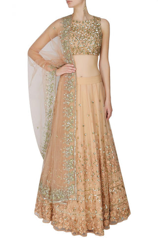 Peach lehenga Choli