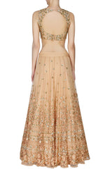 Peach lehenga Choli