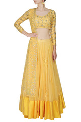 Yellow lehenga choli