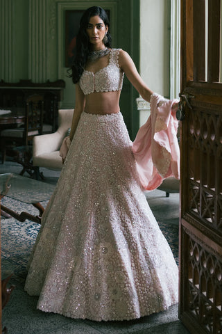 Blush Pink Lehenga Set with Silver and White Hand Embroidery