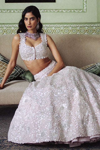 Blush Pink Lehenga Set with Silver and White Hand Embroidery