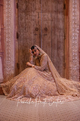 Pastel Shade Anarkali with Lehenga Skirt Mehraab