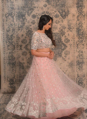 Blush pink mirror and Resham work lehenga