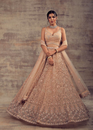 Dusty Rose Color Wedding Lehenga DAANA