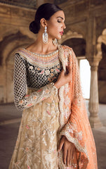 Fawn Colour Wedding Walima Dress